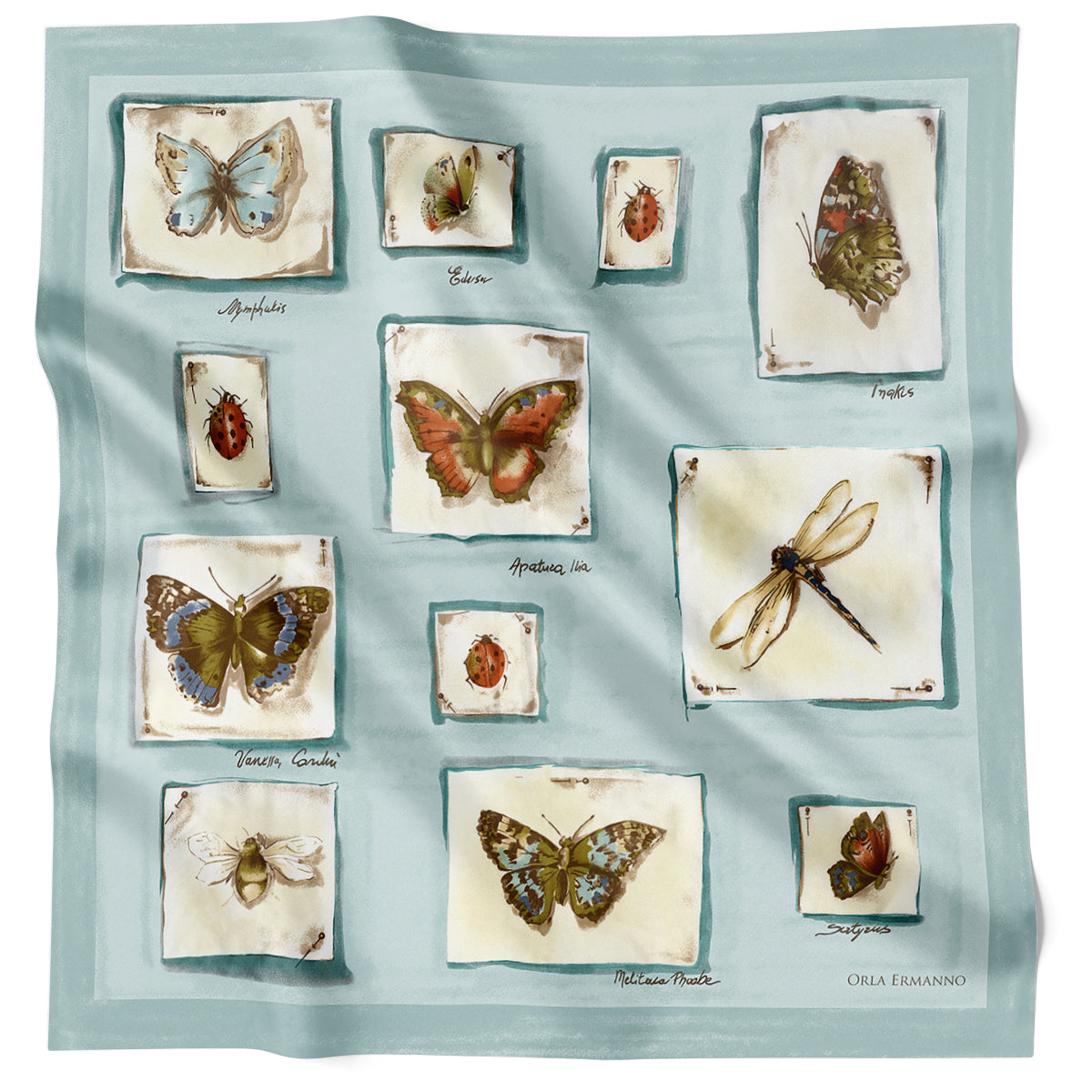 Nymphalidae Pale Aqua